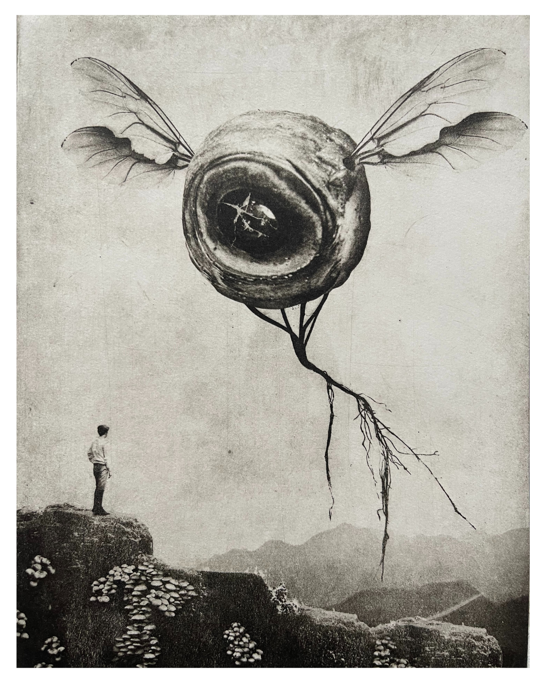 Exterior No 5 - Goodb-eye I - Versus Arts