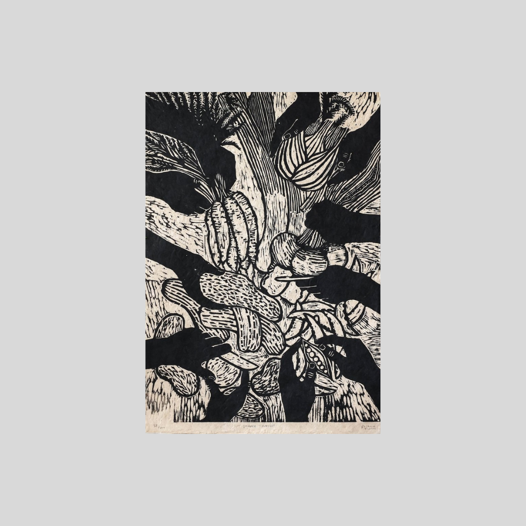 Shared Harvest - Versus Arts