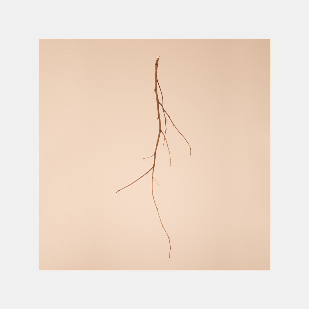 Personal Matter of Time - Triptic