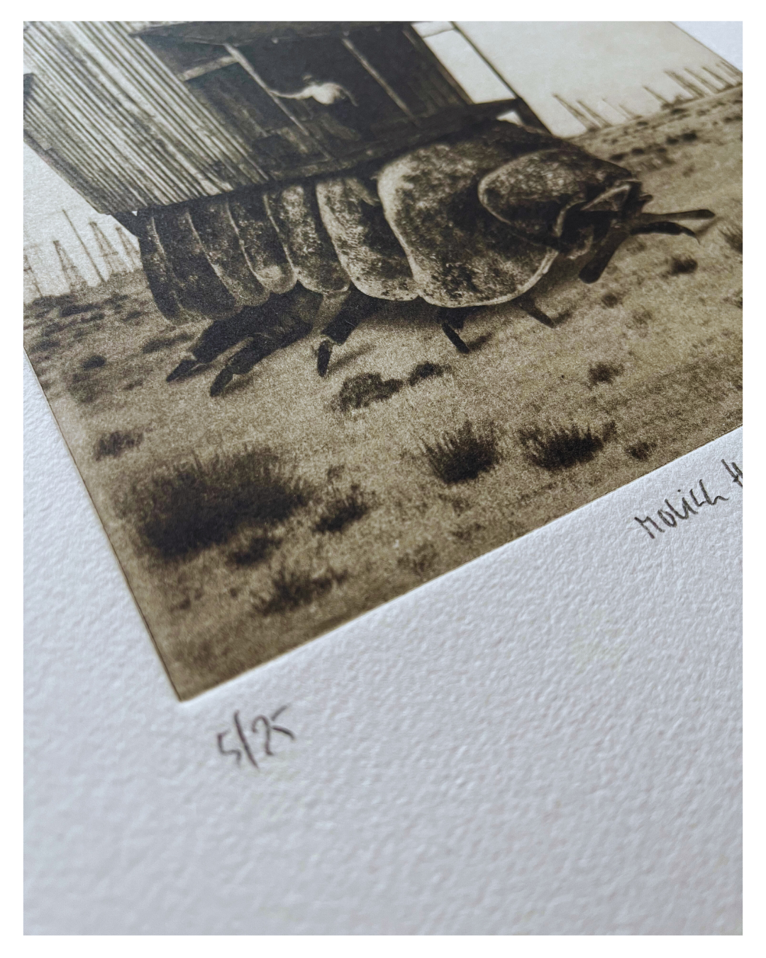 Exterior No.54 - Moving House III - Versus Arts