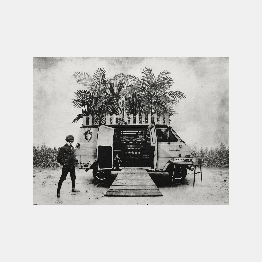 Transient Life No 1 - Versus Arts