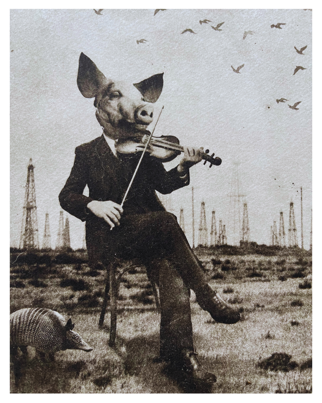 The Pig Suite No 7 -  Pearls before Swine - Versus Arts