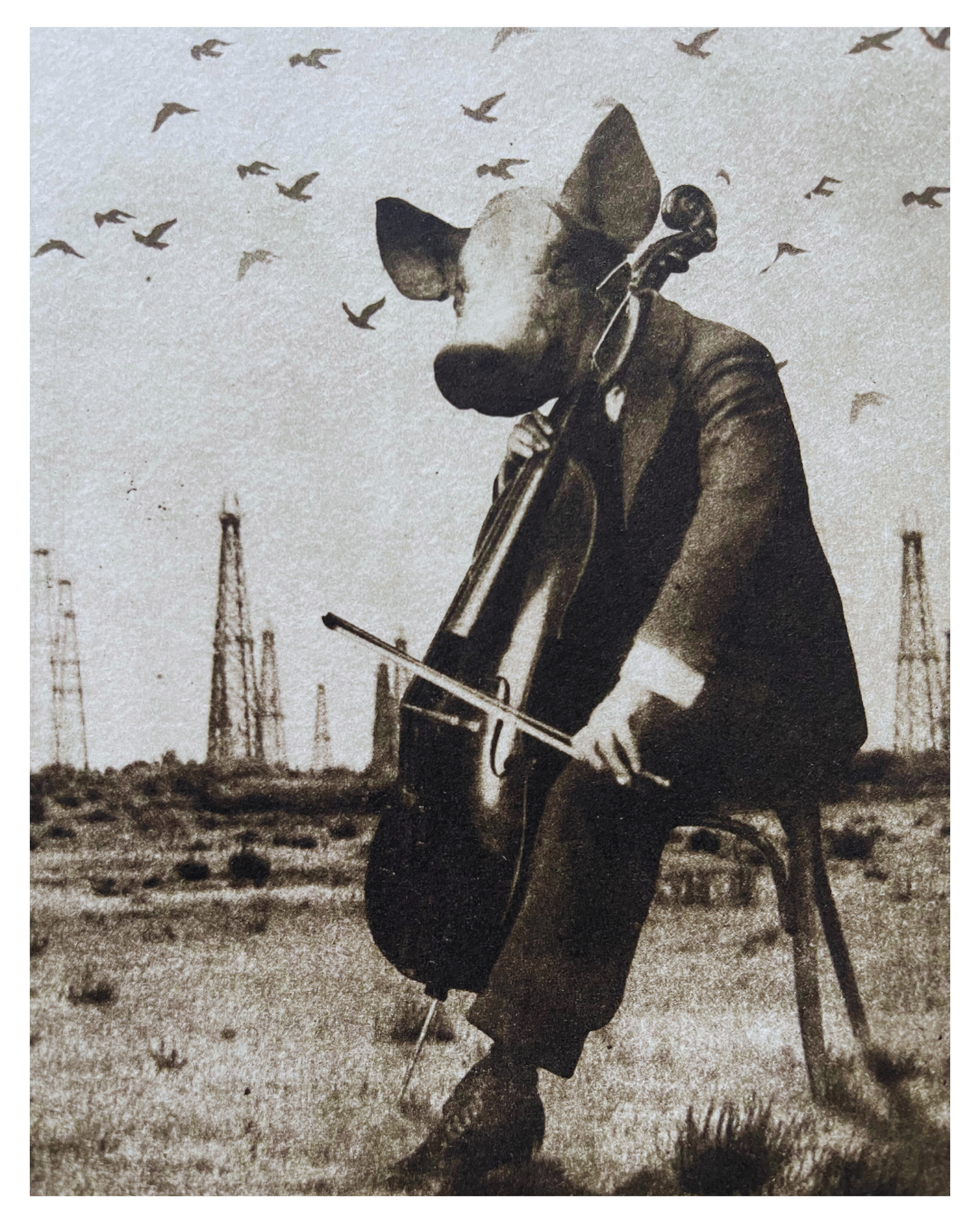 The Pig Suite No 7 -  Pearls before Swine - Versus Arts