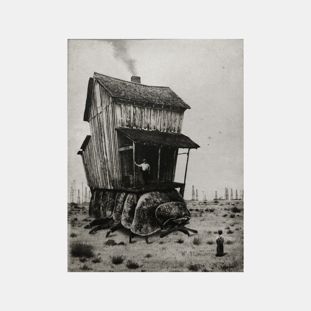 Exterior No.54 - Moving House III - Versus Arts