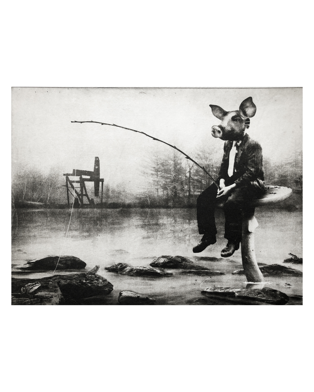 The Pig Suite No 4 - The Pondering - Versus Arts