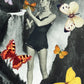Bespoke Frame Artwork: Butterflies Go Flutter by - Versus Arts | Framing & Gallery