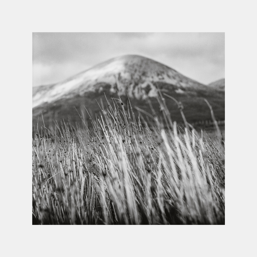 Scotland