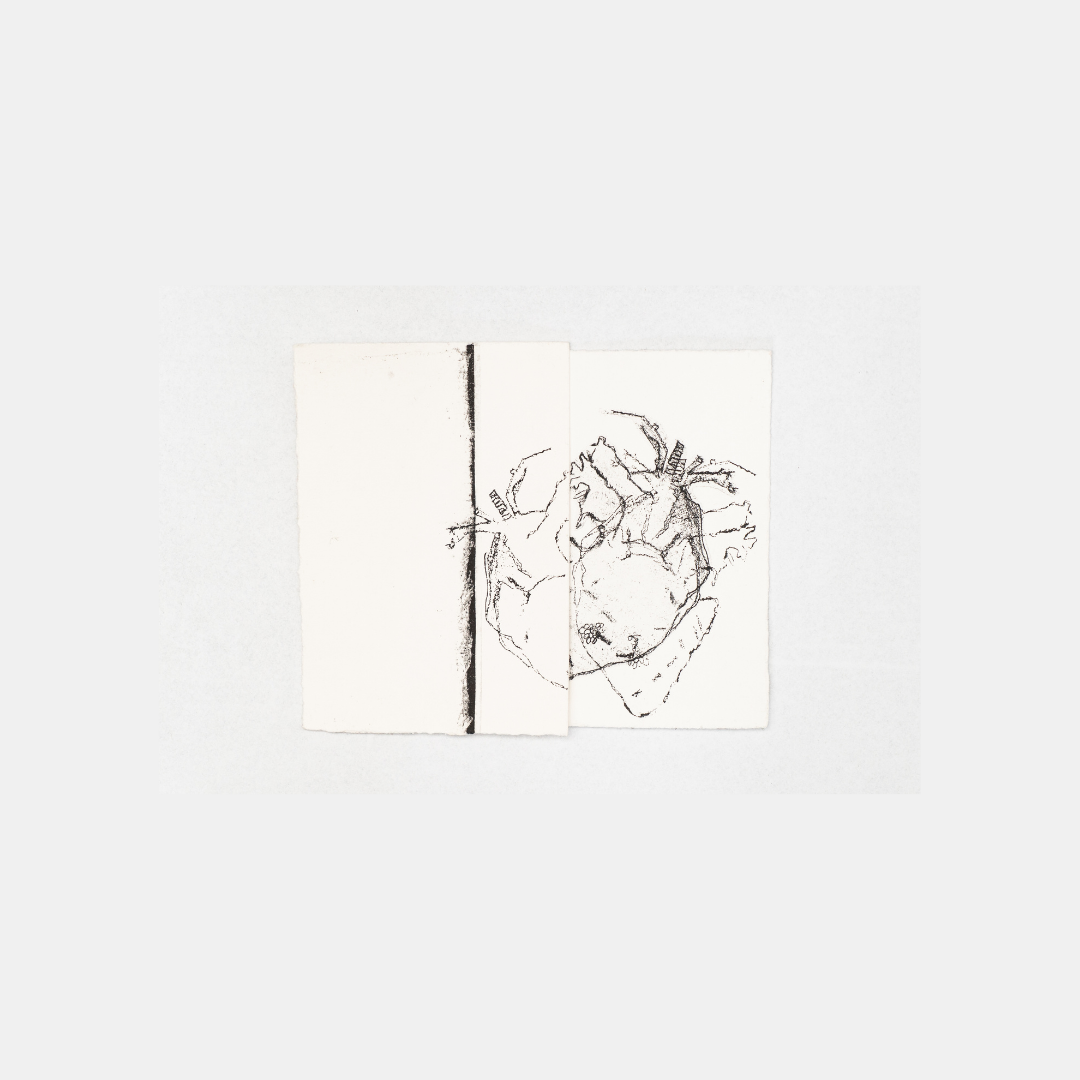 Abbraccio - Versus Arts