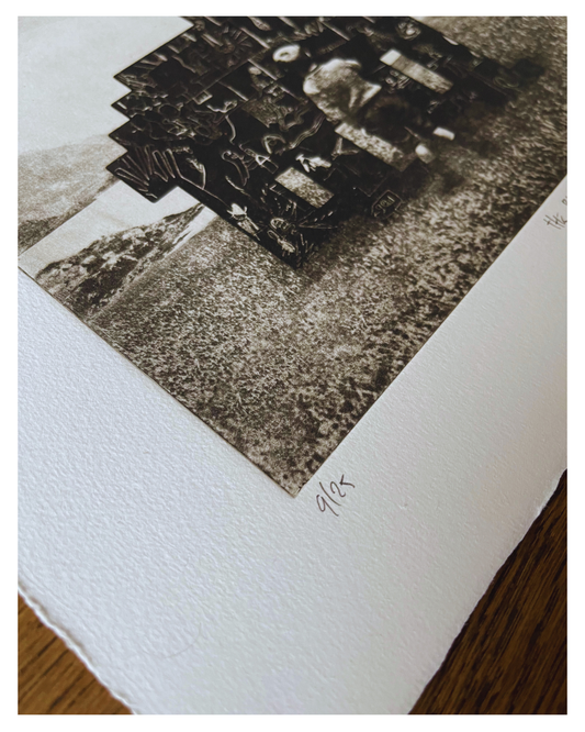 Blocks Bestiary No 25 -  The Black Bear - Versus Arts