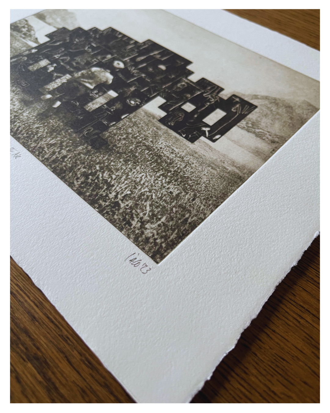 Blocks Bestiary No 25 -  The Black Bear - Versus Arts