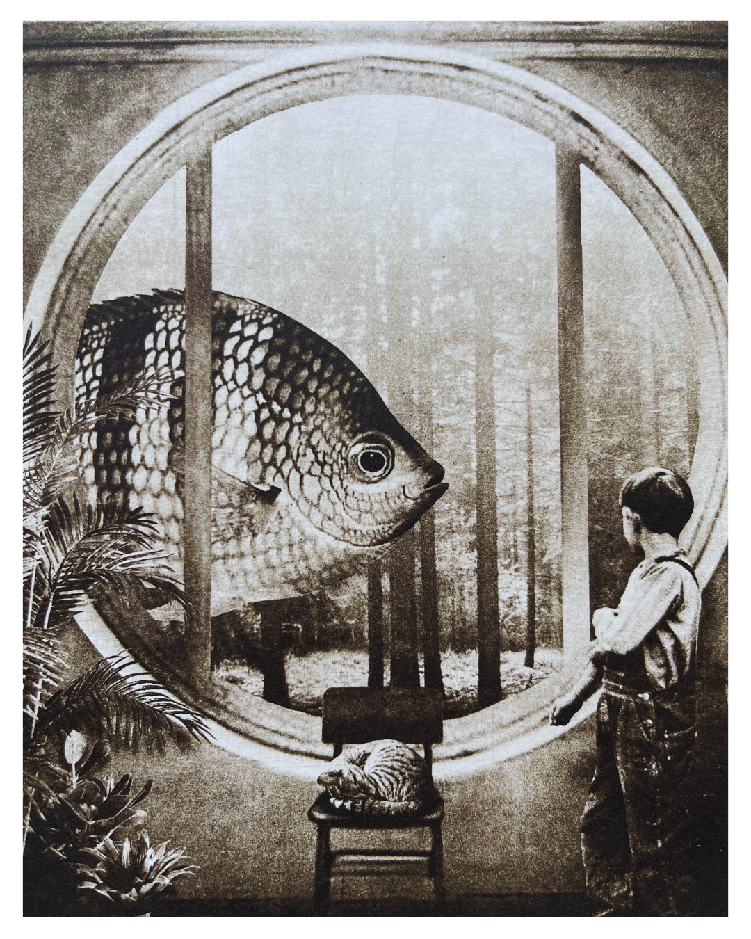 Boy and Fish - Versus Arts