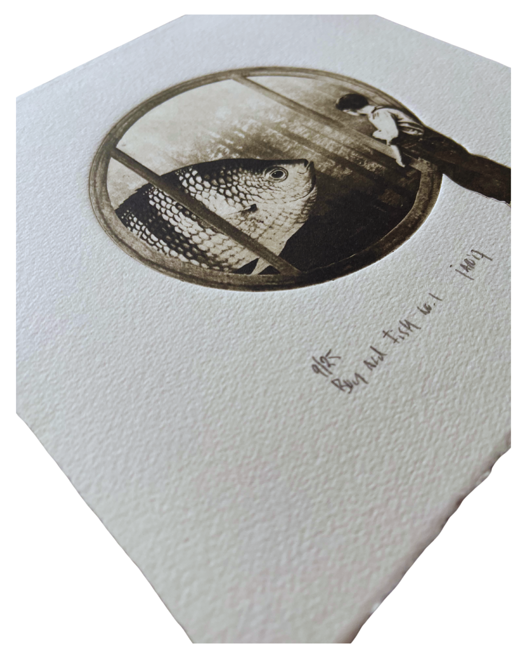 Boy and Fish - Versus Arts