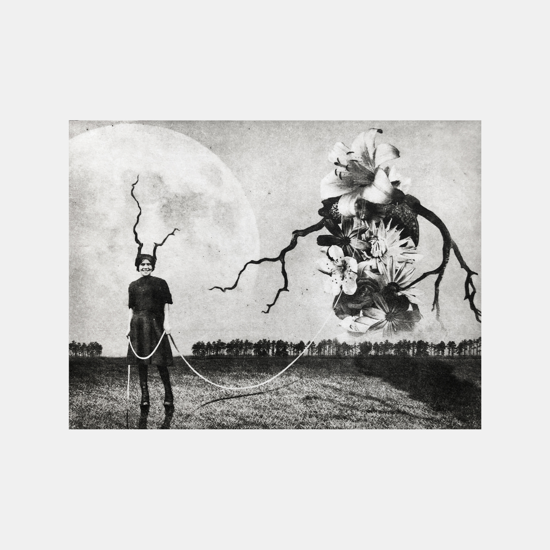 Exterior No 29 - Versus Arts