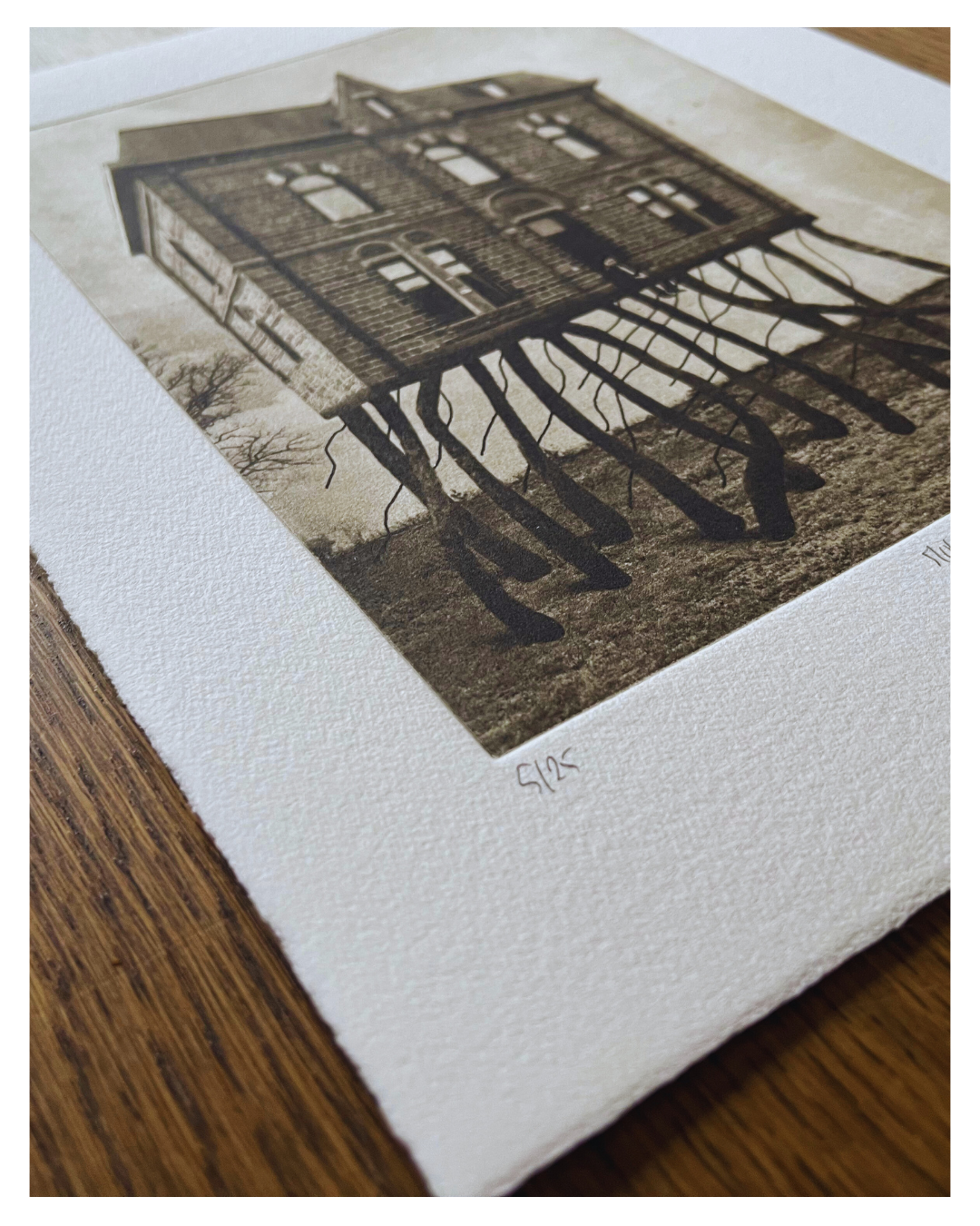 Exterior No 42 - Moving House II - Versus Arts