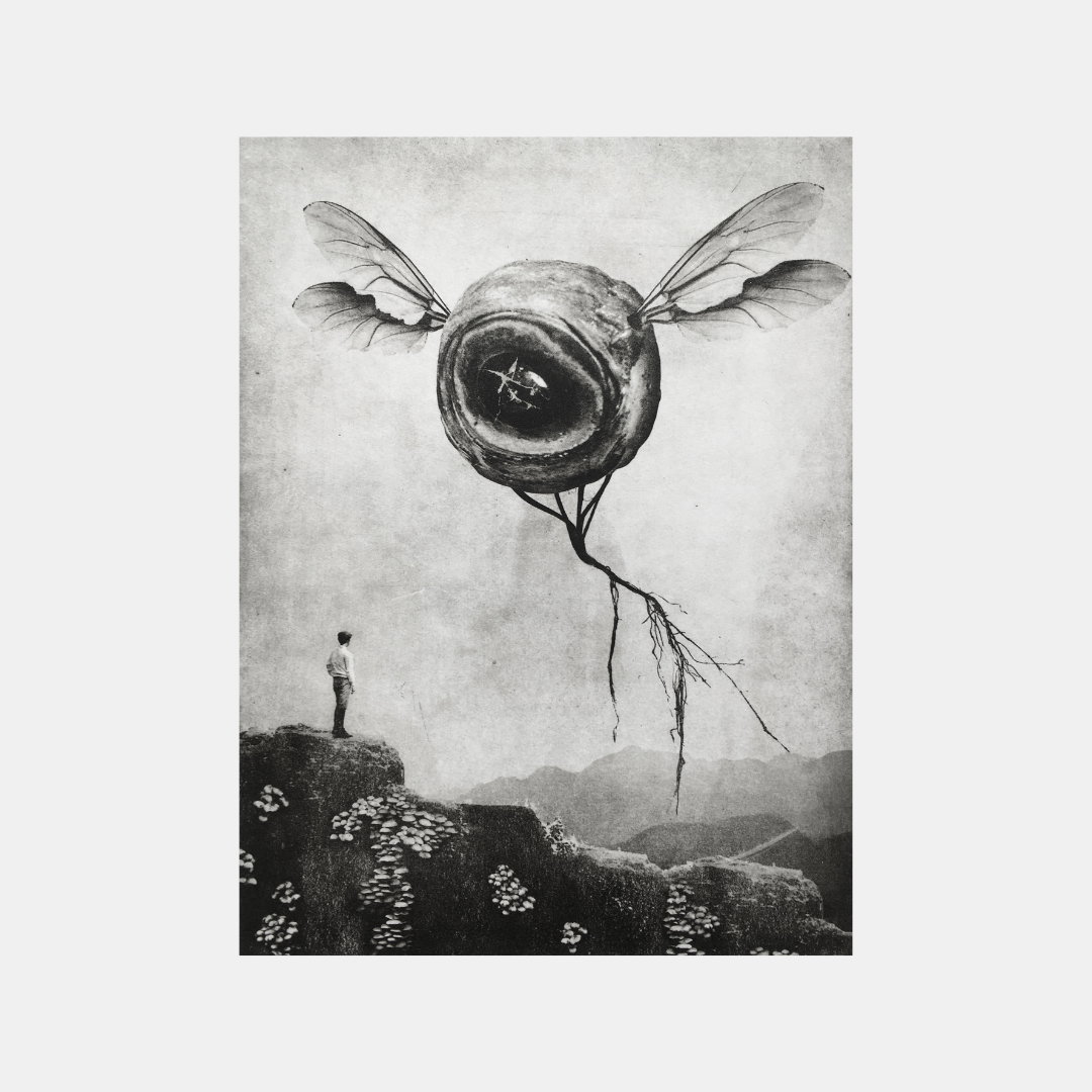 Exterior No 5 - Goodb-eye I - Versus Arts