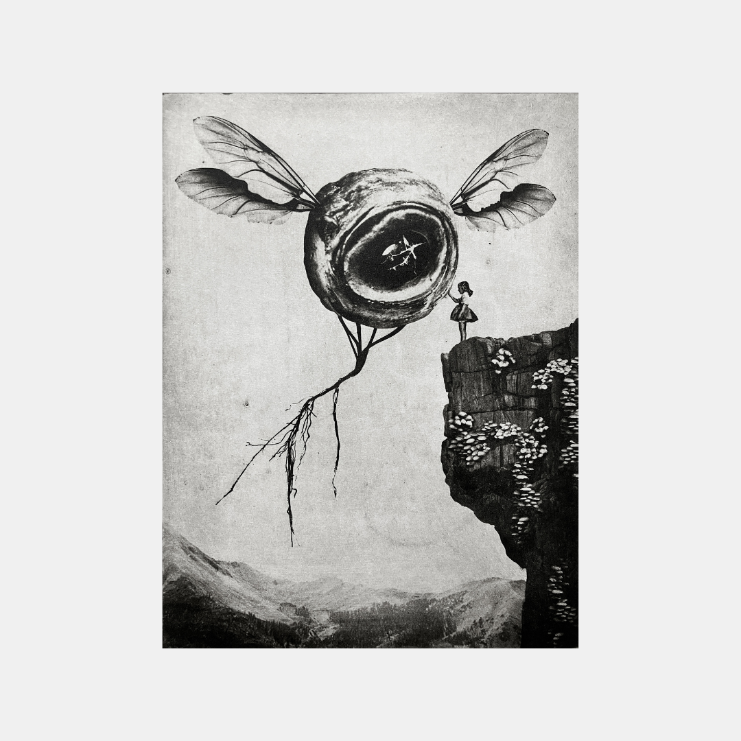 Exterior No 5 - Goodb-eye II - Versus Arts