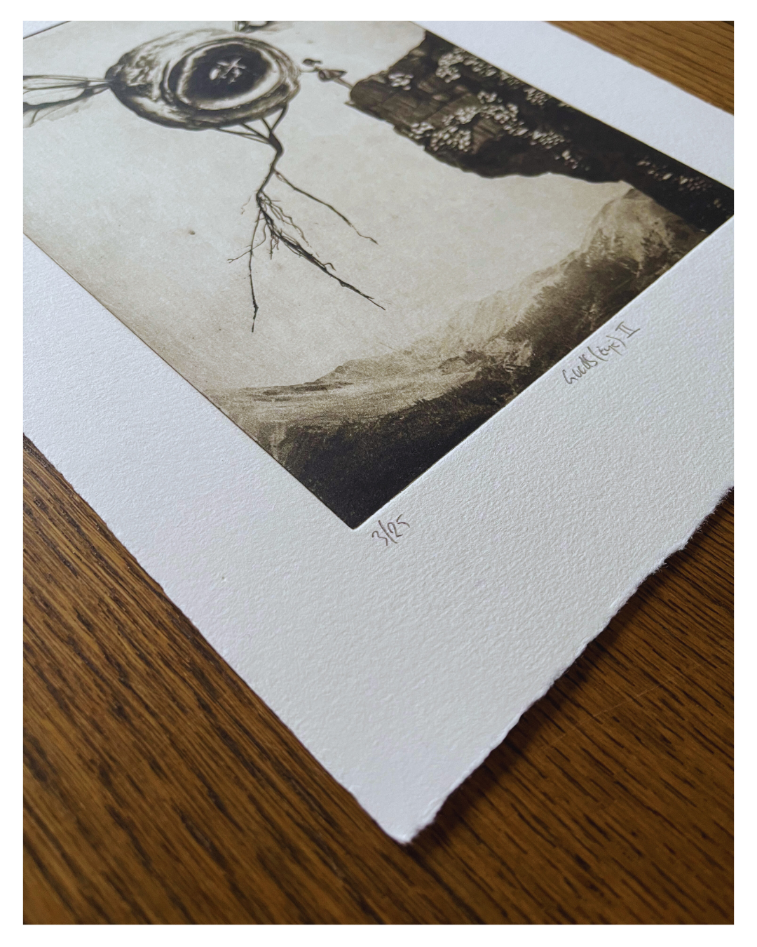 Exterior No 5 - Goodb-eye II - Versus Arts