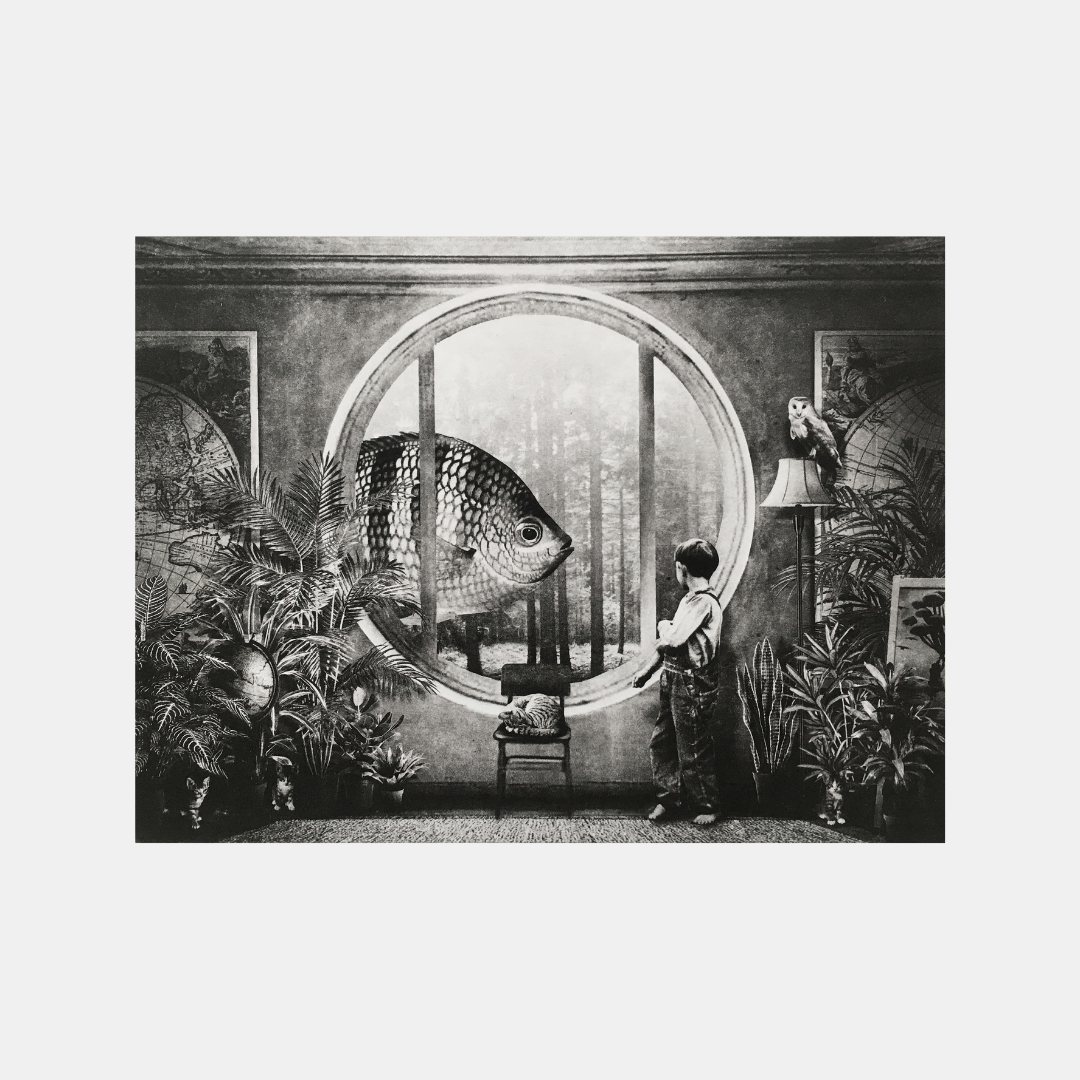 Interior No.44 - Versus Arts