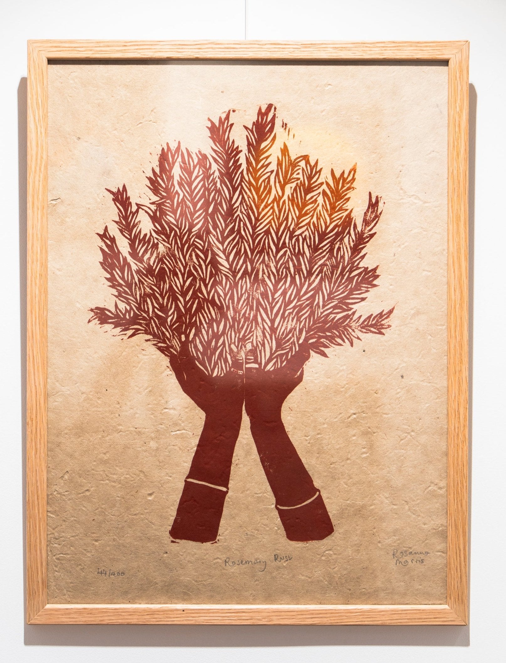 Rosemary - Versus Arts