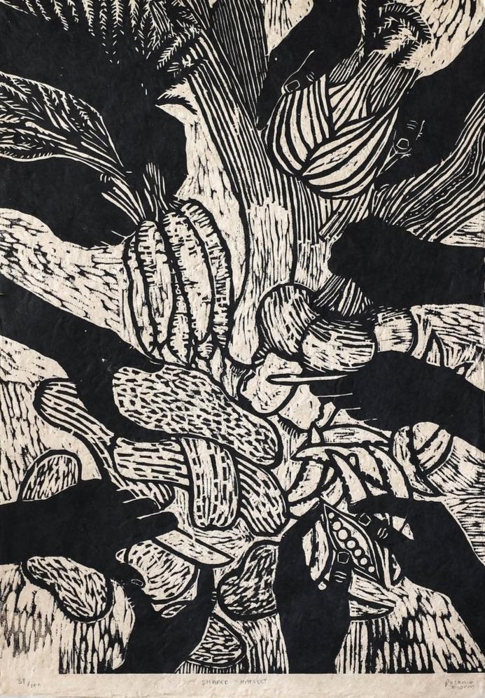 Shared Harvest - Versus Arts