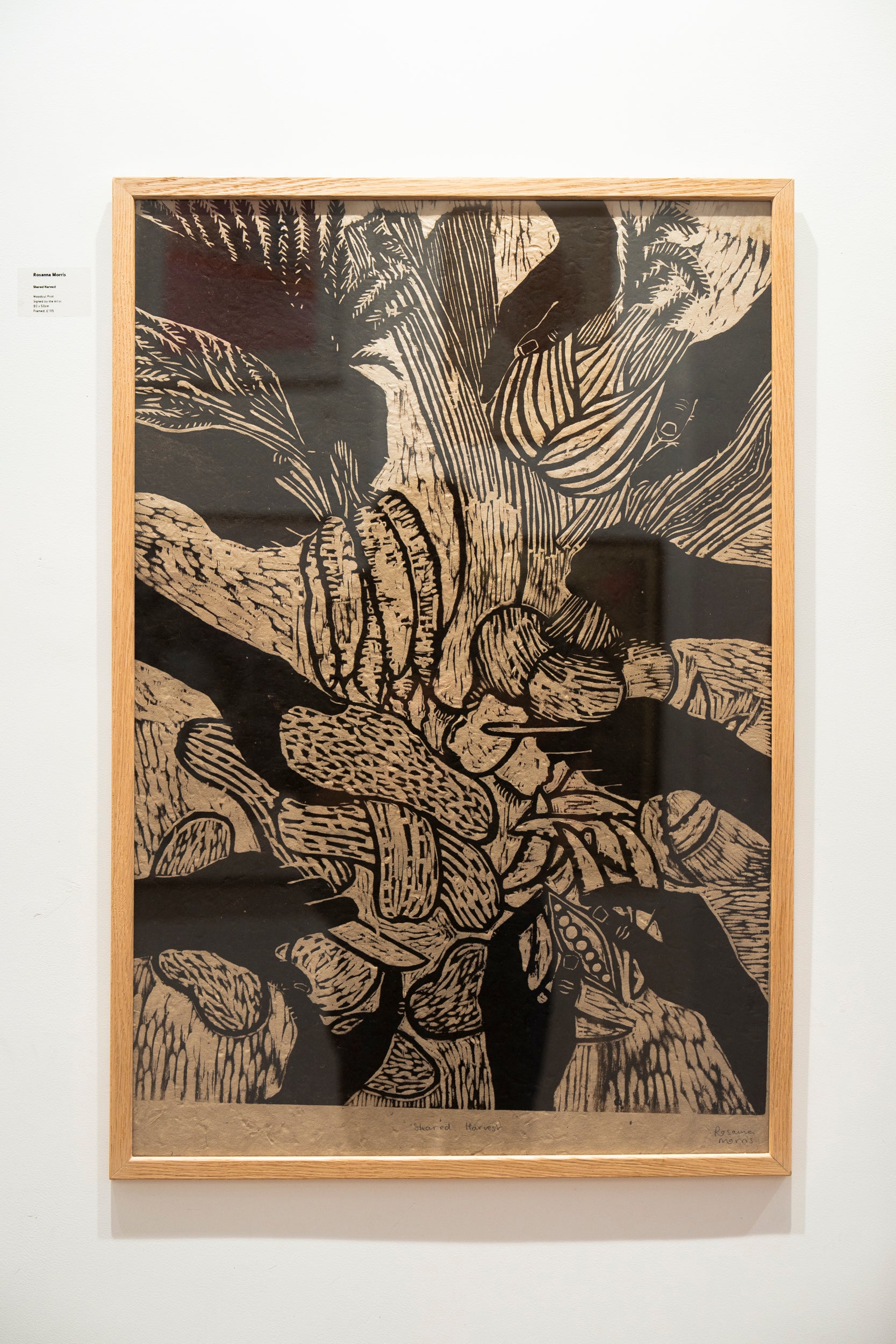 Shared Harvest - Versus Arts