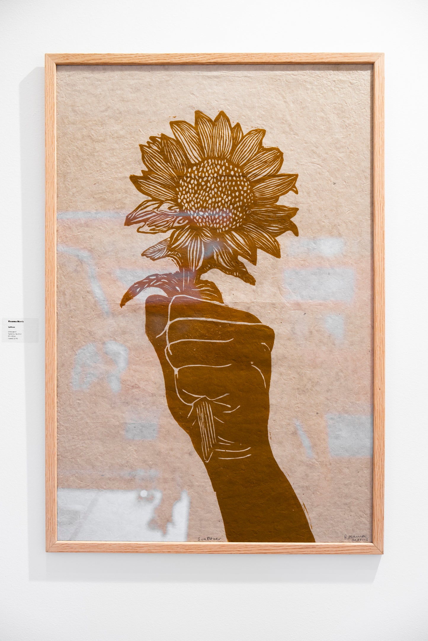 Sunflower - Versus Arts