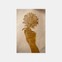 Sunflower - Versus Arts