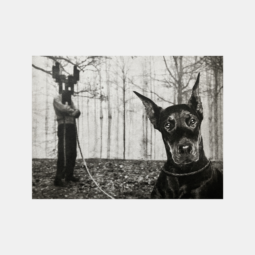 The Blocks of War No 31 - Versus Arts