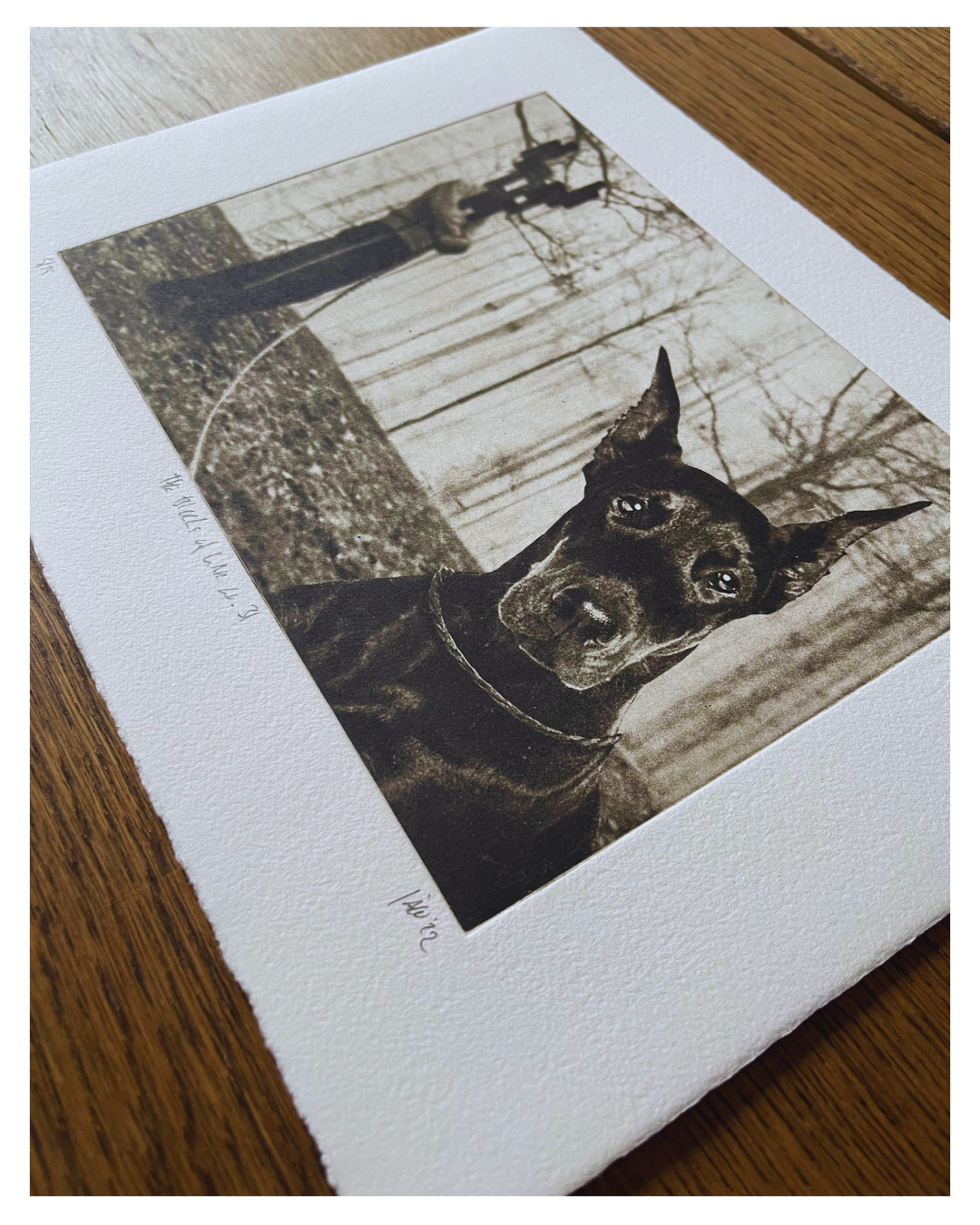 The Blocks of War No 31 - Versus Arts