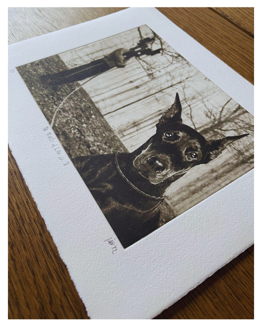 The Blocks of War No 31 - Versus Arts