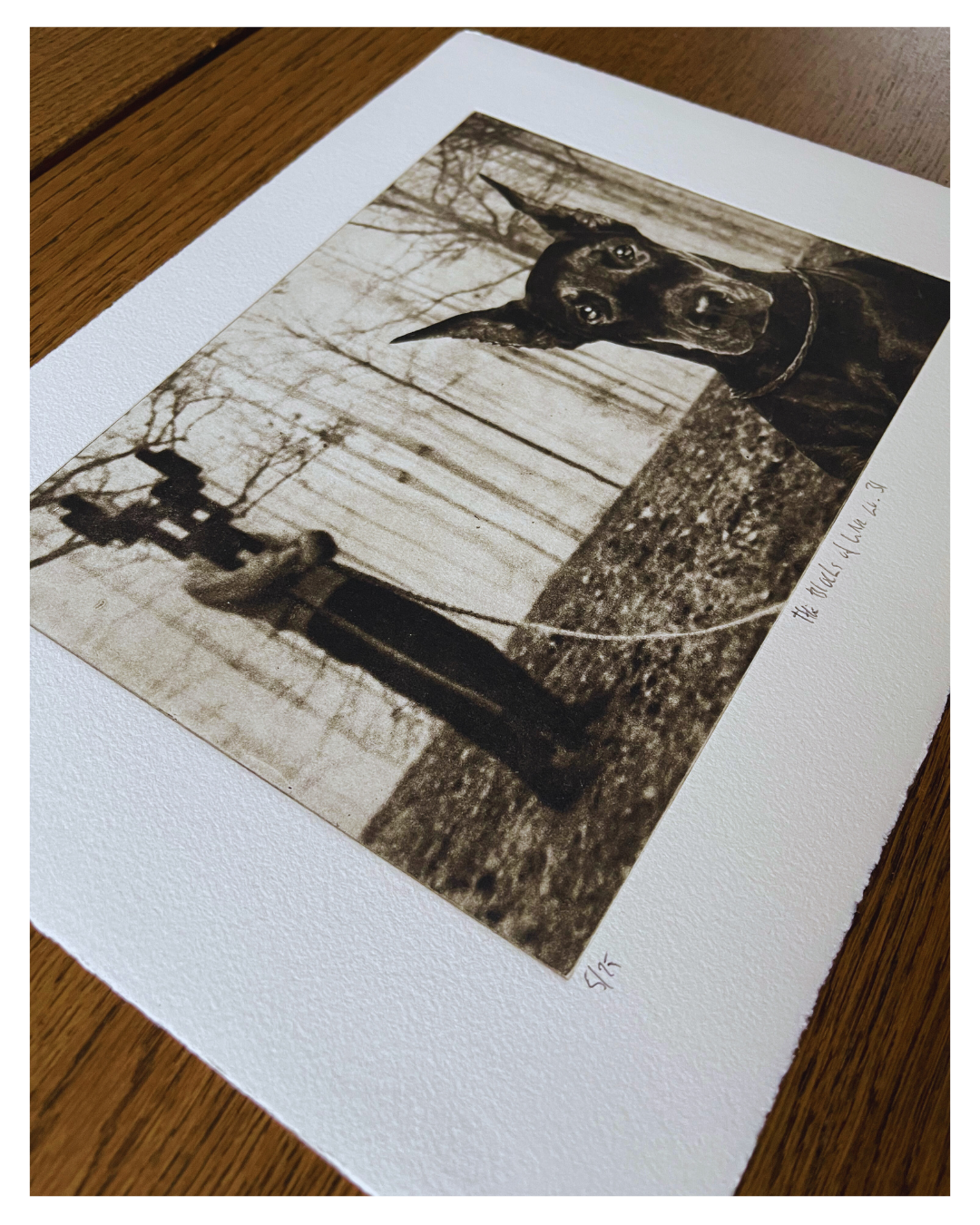 The Blocks of War No 31 - Versus Arts