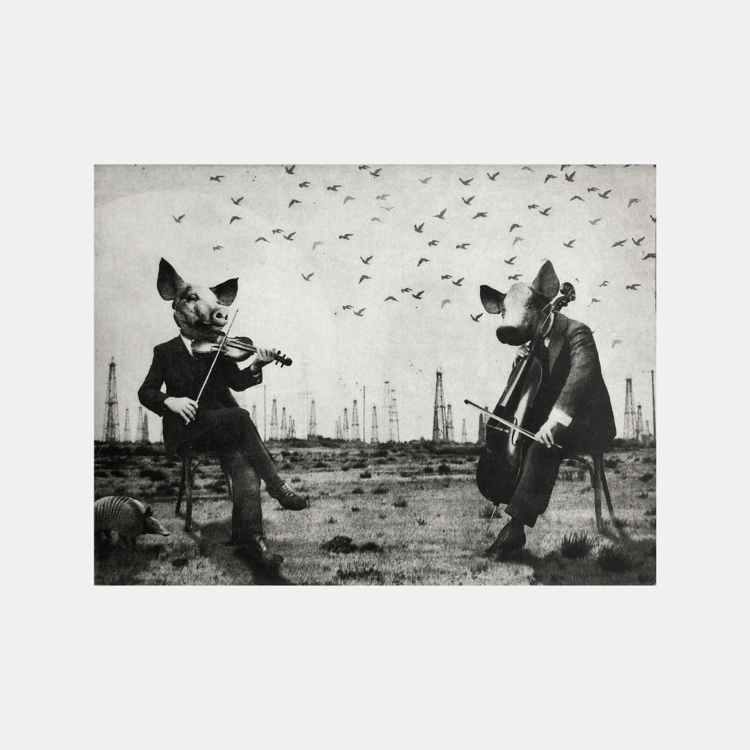 The Pig Suite No 7 -  Pearls before Swine - Versus Arts