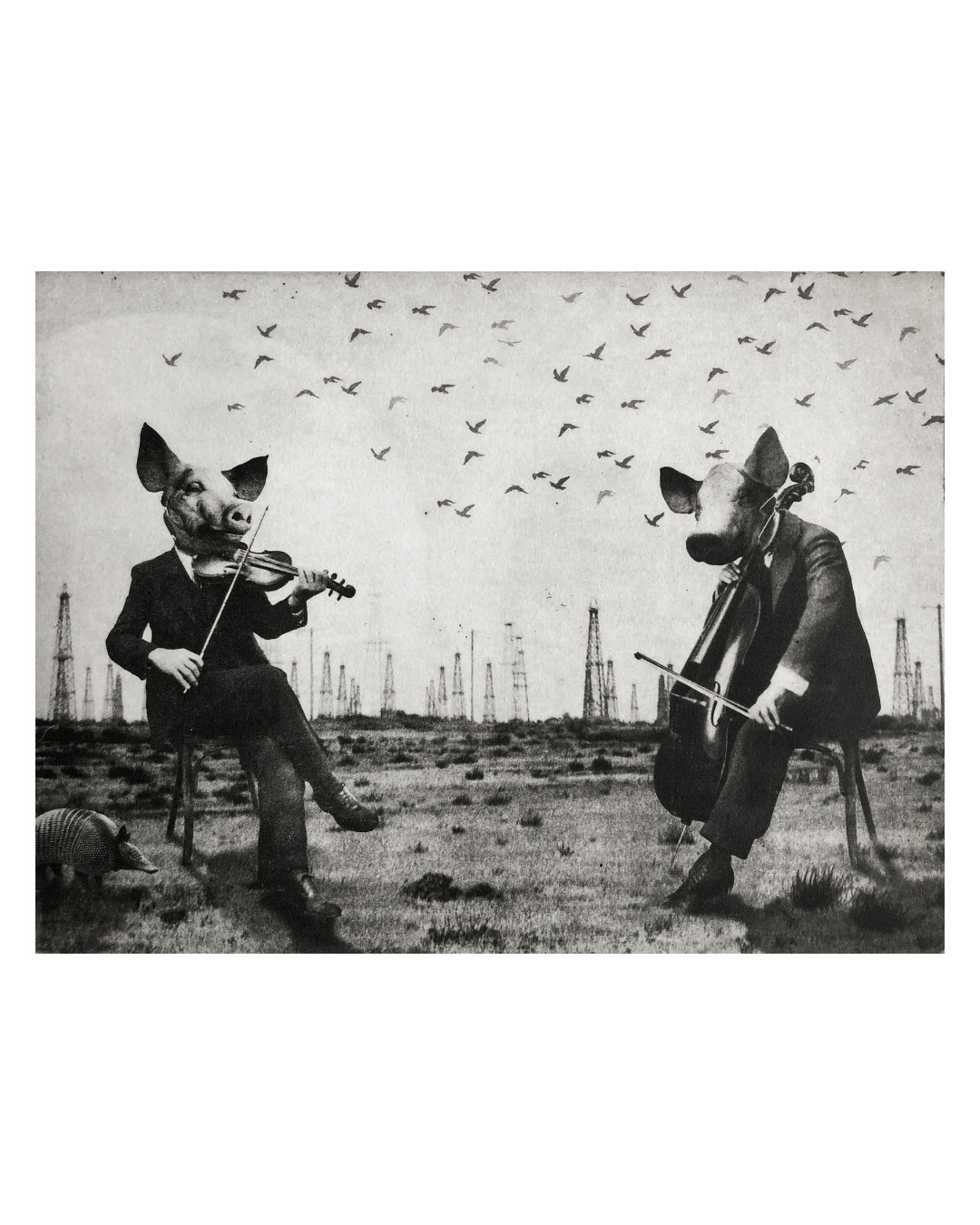 The Pig Suite No 7 -  Pearls before Swine - Versus Arts