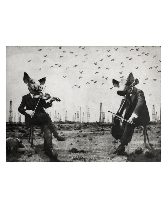 The Pig Suite No 7 -  Pearls before Swine - Versus Arts