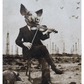 The Pig Suite No 7 -  Pearls before Swine - Versus Arts