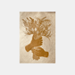 Wild Weeds - Versus Arts